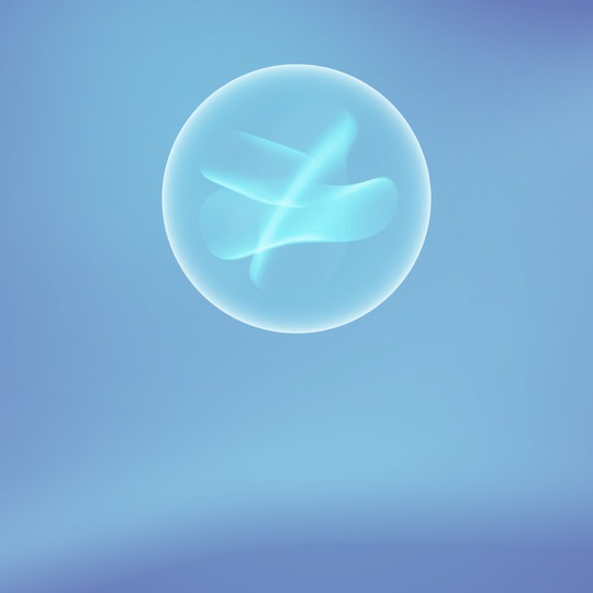 videocalls